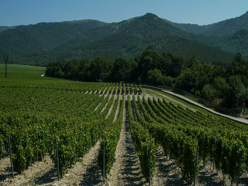 «Винодельня года», «Абрау-Дюрсо», рейтинг отечественных вин