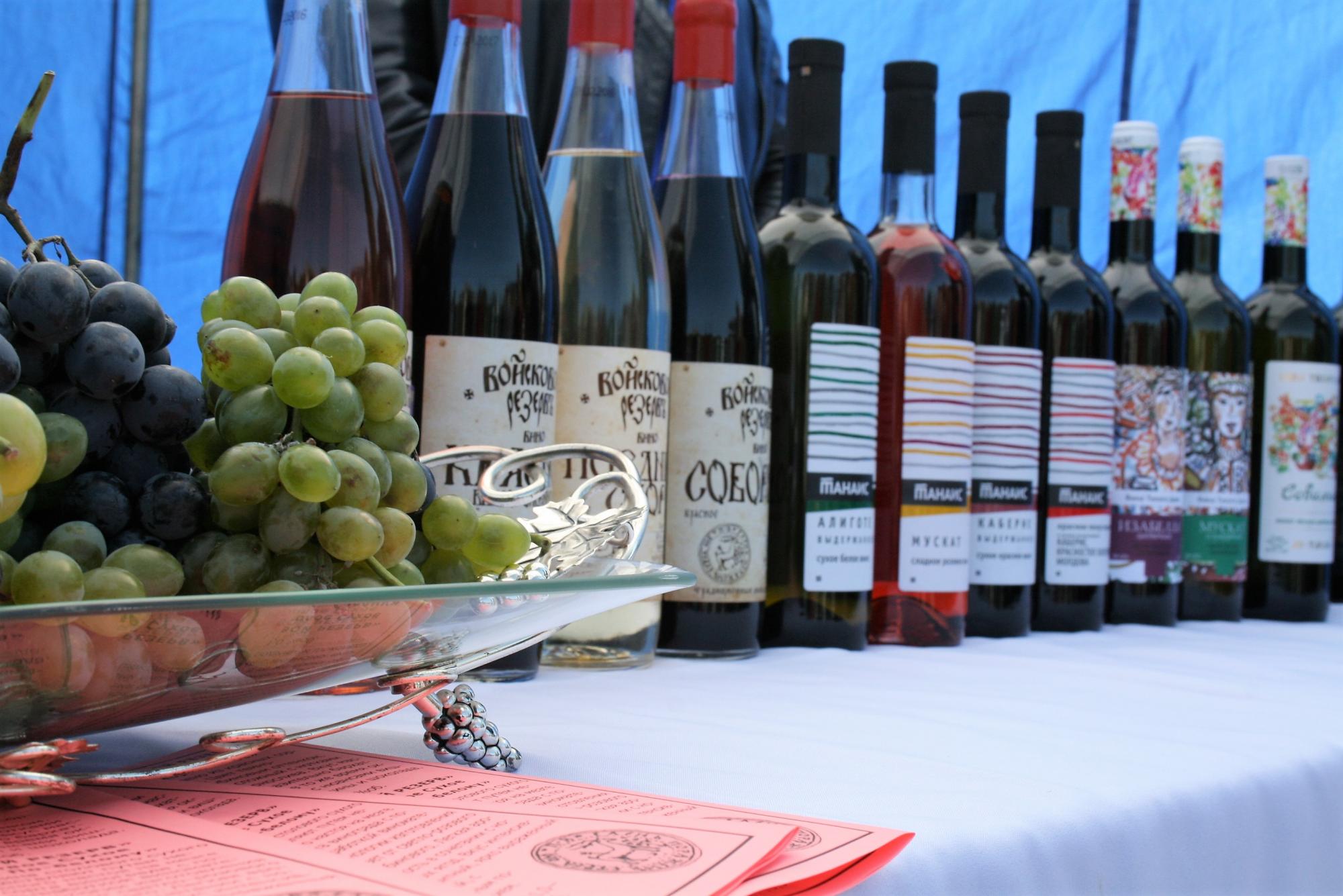Донская лоза, фестиваль, вино, виноград