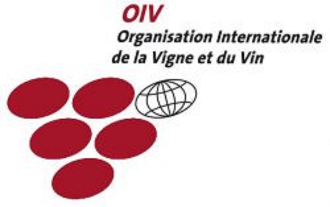 Черноморский Форум Виноделия, Международная организация виноградарства и виноделия (OIV)