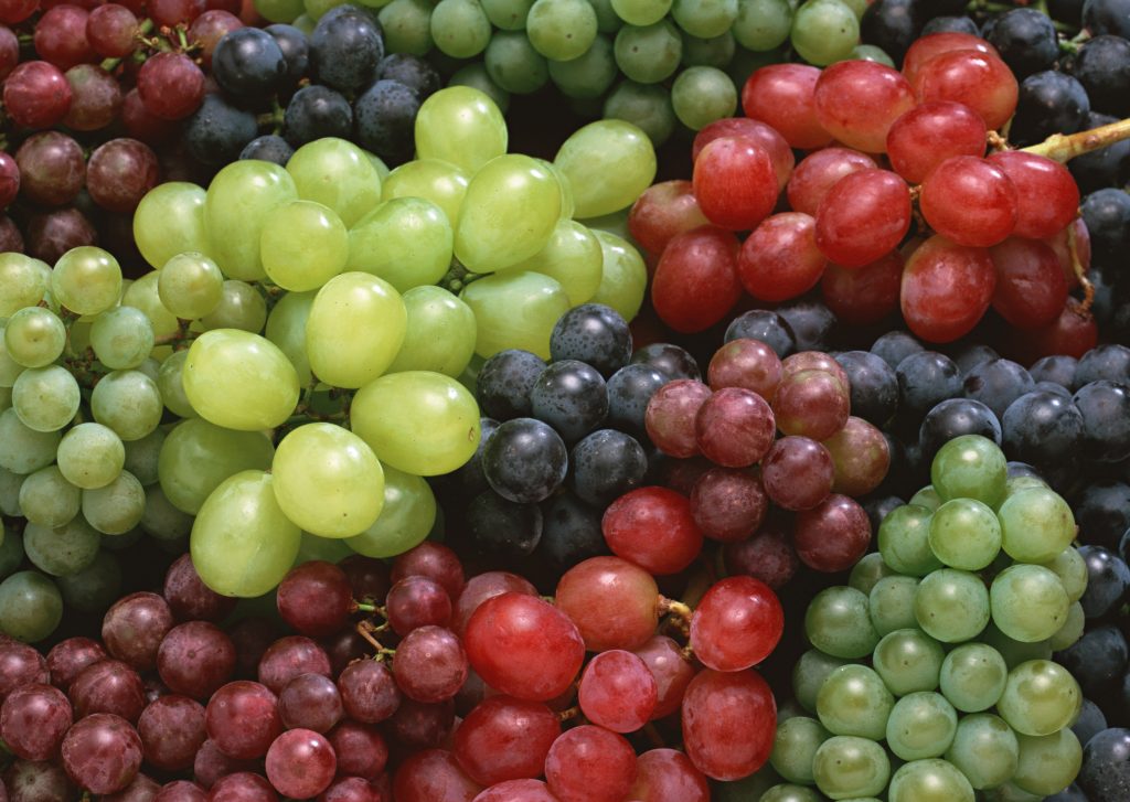 Винодельни Крыма, винный гид