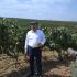 Дагестан, сбор винограда, рекордный урожай