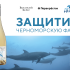 Винодельня и торговая сеть запускают благотворительную эко-кампанию в поддержку дельфинов Черного моря.