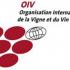 Черноморский Форум Виноделия, Международная организация виноградарства и виноделия (OIV)